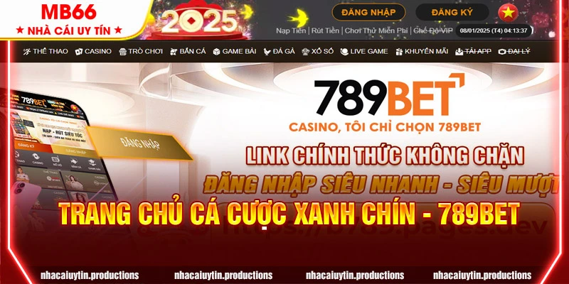 Trang chủ cá cược xanh chín 789BET