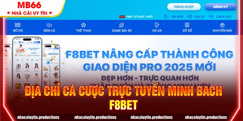 Địa chỉ cá cược trực tuyến minh bạch F8BET