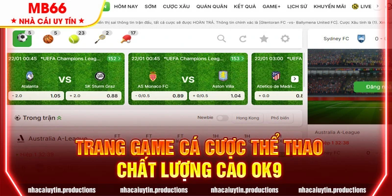 Trang game cá cược thể thao chất lượng cao OK9