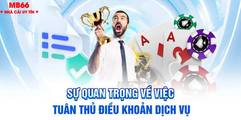 Tầm quan trọng của điều kiện & điều khoản